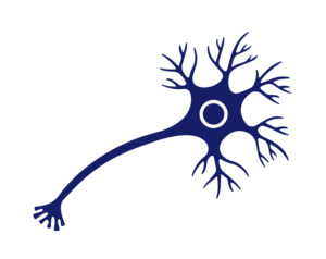Expertise(bleu) Expertise(bleu)